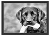 schwarzer Labrador mit Spielzeug Schattenfugenrahmen 55x40