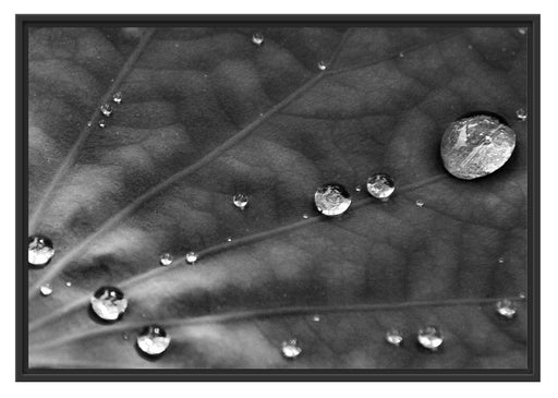 Wassertropfen auf Blatt Schattenfugenrahmen 100x70