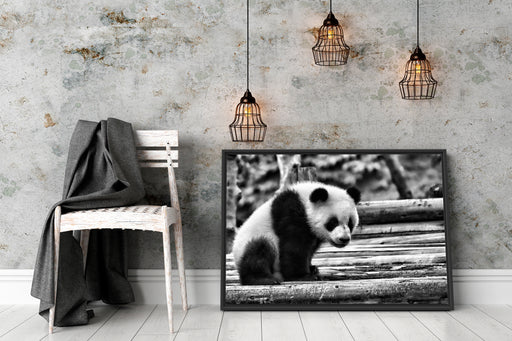 Panda auf Holzstämmen Schattenfugenrahmen Wohnzimmer