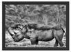 großes Nashorn in der Savanne Schattenfugenrahmen 55x40