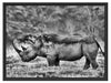 großes Nashorn in der Savanne Schattenfugenrahmen 80x60