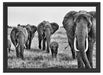 große wandernde Elefantenhorde Schattenfugenrahmen 55x40