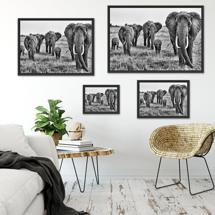 große wandernde Elefantenhorde Schattenfugenrahmen Dekovorschlag