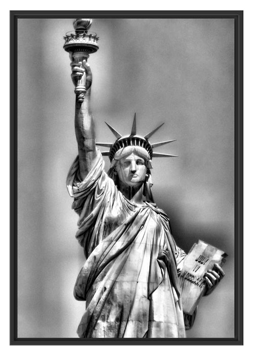 Pixxprint Freiheitsstatue