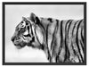 Tiger vor Hintergrund Schattenfugenrahmen 80x60