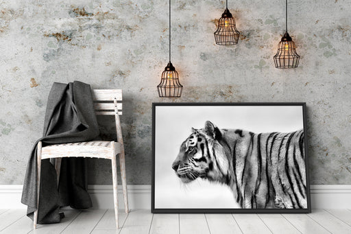Tiger vor Hintergrund Schattenfugenrahmen Wohnzimmer