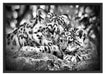 Leopard mit Jungtier Schattenfugenrahmen 100x70
