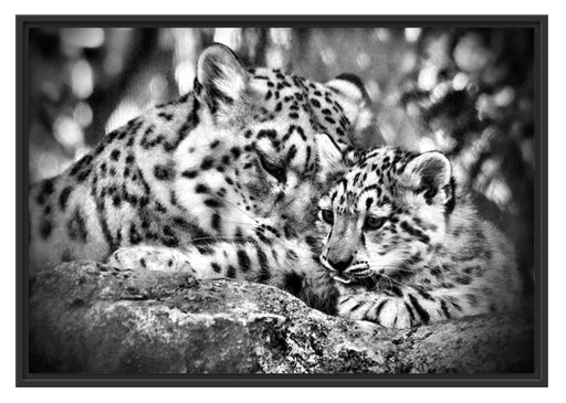 Leopard mit Jungtier Schattenfugenrahmen 100x70