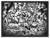 Leopard mit Jungtier Schattenfugenrahmen 80x60
