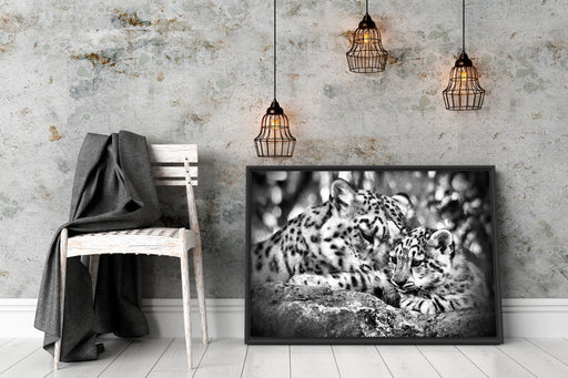 Leopard mit Jungtier Schattenfugenrahmen Wohnzimmer