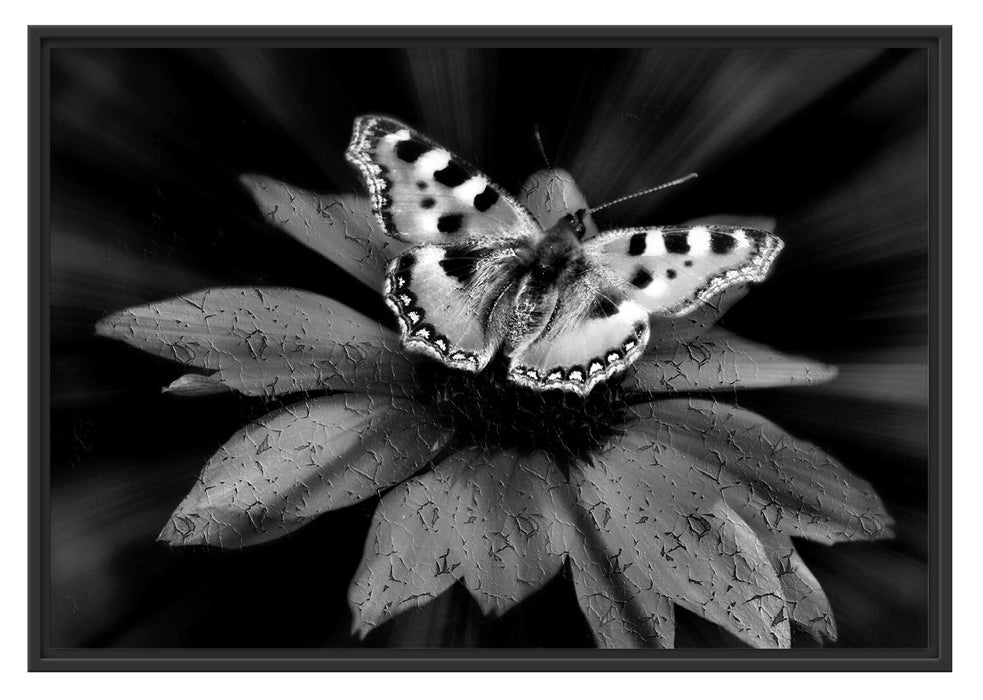 Pixxprint Schmetterling auf roter Blüte