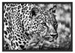 schleichender Leopard Schattenfugenrahmen 100x70