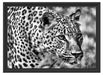schleichender Leopard Schattenfugenrahmen 55x40