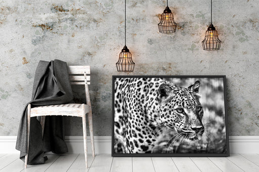 schleichender Leopard Schattenfugenrahmen Wohnzimmer