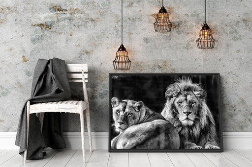 schönes Löwenpaar Schattenfugenrahmen Wohnzimmer