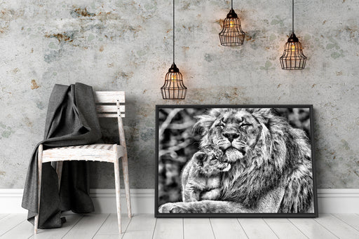 Löwenvater kuschelt mit Jungtier Schattenfugenrahmen Wohnzimmer