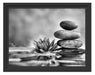 Seerosenblüte mit Zen Steinen Schattenfugenrahmen 38x30