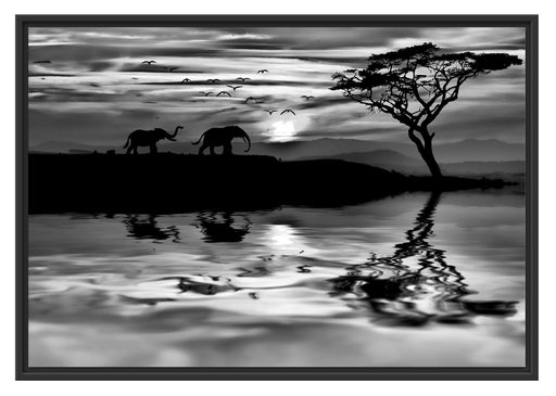 Elefanten in Afrikanischer Steppe Schattenfugenrahmen 100x70