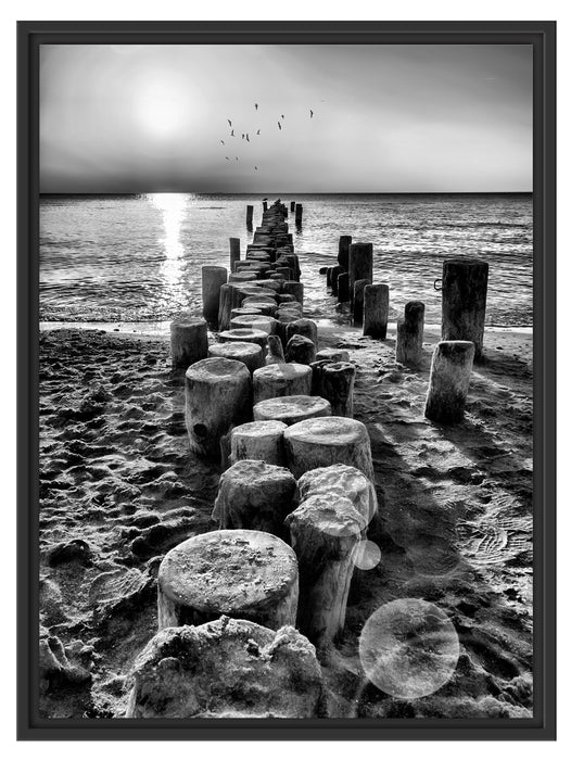 Baumstümpfe am Meer Schattenfugenrahmen 80x60