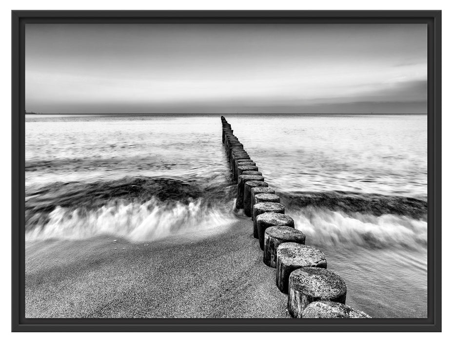 Baumstümpfe die ins Meer führen Schattenfugenrahmen 80x60