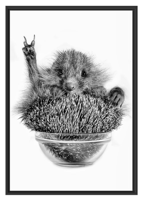 Pixxprint Igel in einer Schüssel Peace, im Schwebe-Effekt Bilderrahmen