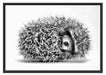 kleiner niedlicher Baby Igel Schattenfugenrahmen 100x70