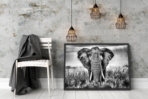 Imposanter Elefant Schattenfugenrahmen Wohnzimmer