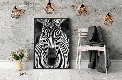 Zebra Porträt Schattenfugenrahmen Wohnzimmer