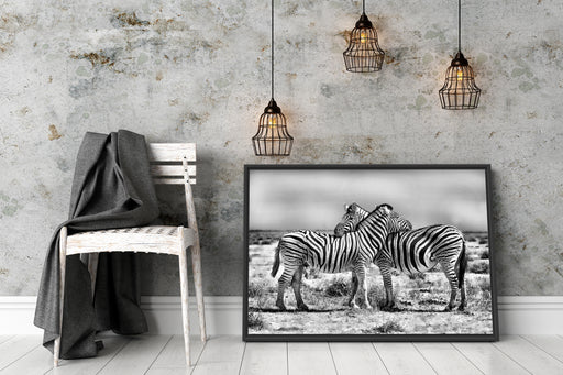 Schmusende Zebras Schattenfugenrahmen Wohnzimmer