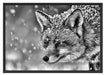 Fuchs im Schnee Schattenfugenrahmen 100x70