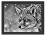 Fuchs im Schnee Schattenfugenrahmen 38x30
