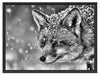 Fuchs im Schnee Schattenfugenrahmen 80x60