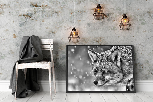 Fuchs im Schnee Schattenfugenrahmen Wohnzimmer