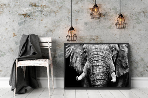 Elefant Porträt Schattenfugenrahmen Wohnzimmer