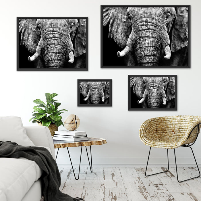 Elefant Porträt Schattenfugenrahmen Dekovorschlag