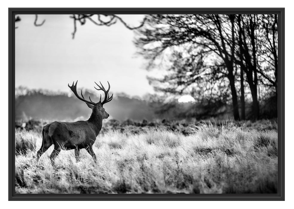 Hirsch im Sonnenuntergang Schattenfugenrahmen 100x70