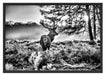 Hirsch im Wald Schattenfugenrahmen 100x70