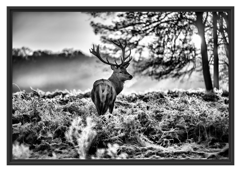 Hirsch im Wald Schattenfugenrahmen 100x70