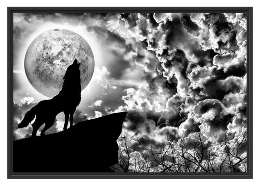 Wolf heult den Mond an Schattenfugenrahmen 100x70