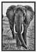 große wandernde Elefantenhorde Schattenfugenrahmen 100x70