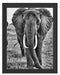 große wandernde Elefantenhorde Schattenfugenrahmen 38x30