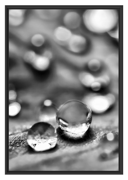 Pixxprint Wassertropfen auf Blatt