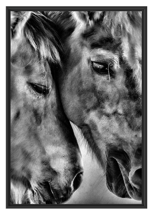 Pixxprint zwei liebevolle Pferde