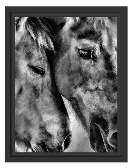 zwei liebevolle Pferde Schattenfugenrahmen 38x30