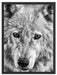 wunderschöner Polarwolf Schattenfugenrahmen 80x60