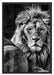schönes Löwenpaar Schattenfugenrahmen 100x70