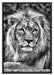 majestätischer Löwe auf Stein Schattenfugenrahmen 100x70