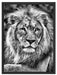 majestätischer Löwe auf Stein Schattenfugenrahmen 80x60