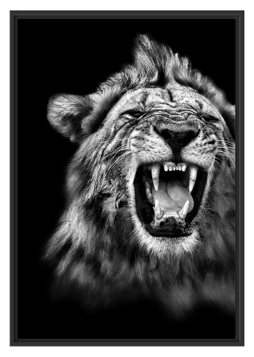 Pixxprint Dark Brüllender Löwe Schwarz-Weiss