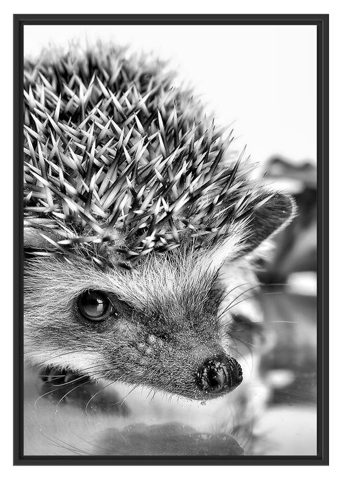 Pixxprint Süßer Igel